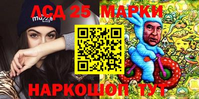 гашик Гатчина