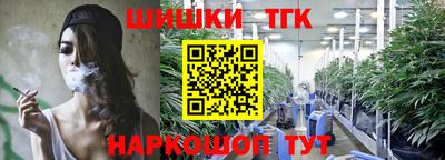 гашик Гатчина