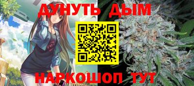 гашик Гатчина