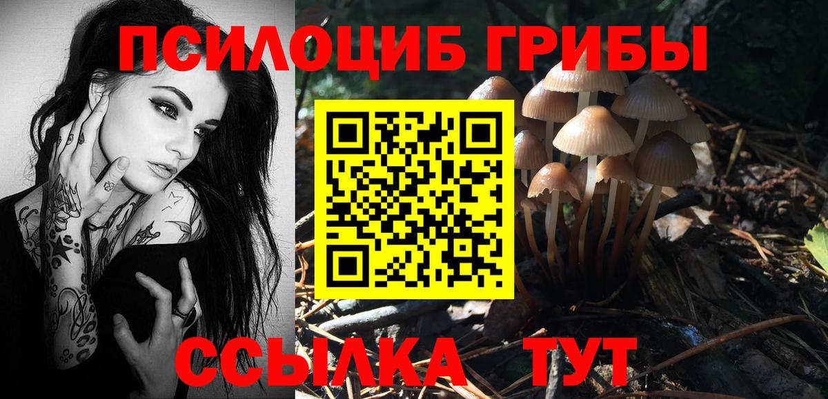 Можга  Галлюциногенные грибы Cubensis  Вход с VPN 